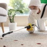 Pest Control Services