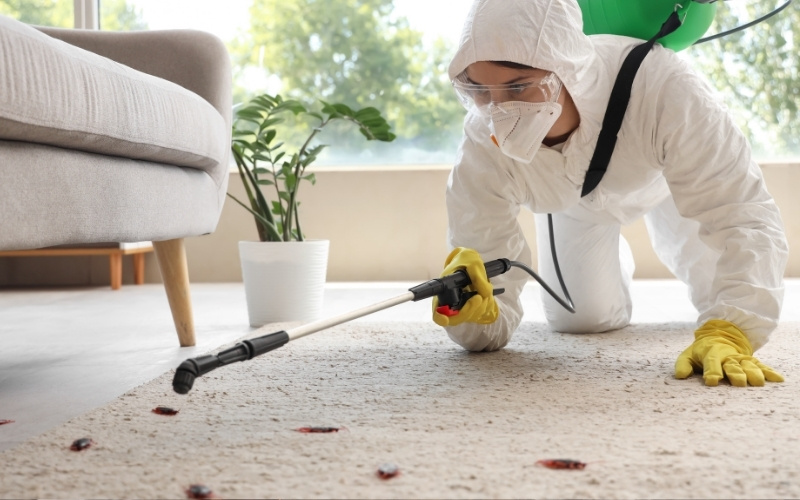 Pest Control Services